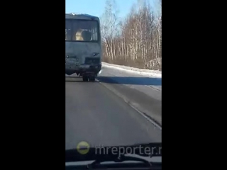 in kurgan, chicks ride the bus