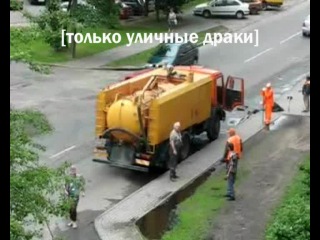 hard workers against cattle